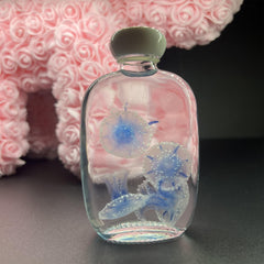 Preserved Papua Jellyfish Wet Specimen Set – Apothecary Bottle