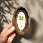 Four-leaf clover in oval frame, pressed clover, botanical decor