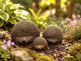 Hedgehog Family | Handcrafted Concrete Garden Statues | Set of 3