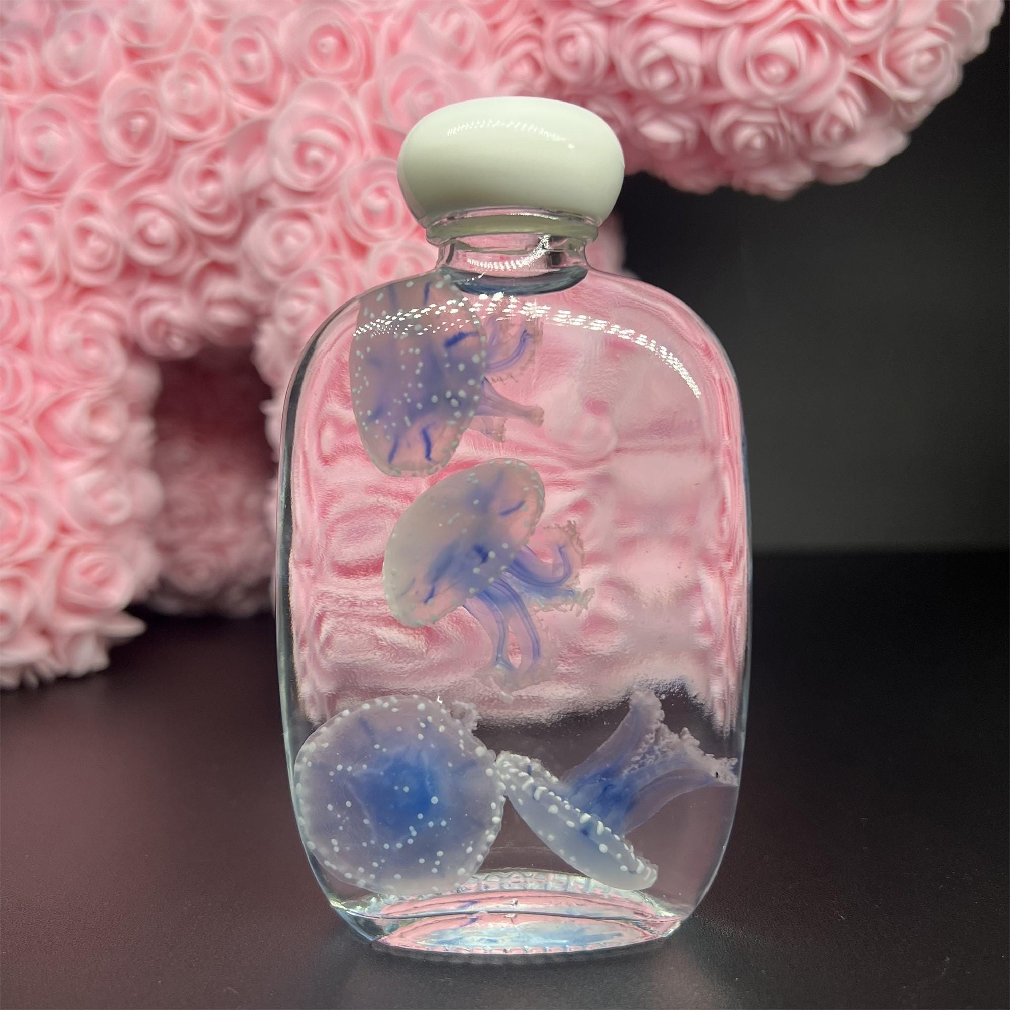 Preserved Papua Jellyfish Wet Specimen Set – Apothecary Bottle