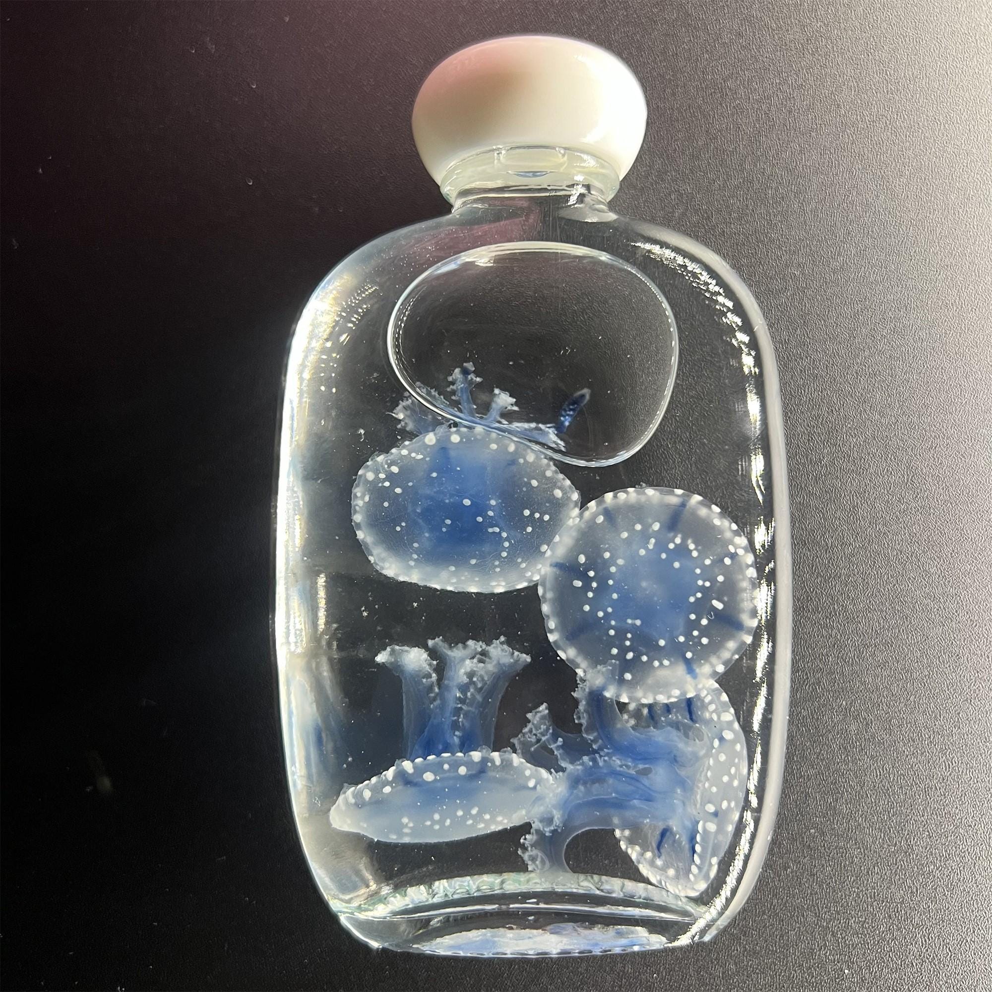 Preserved Papua Jellyfish Wet Specimen Set – Apothecary Bottle