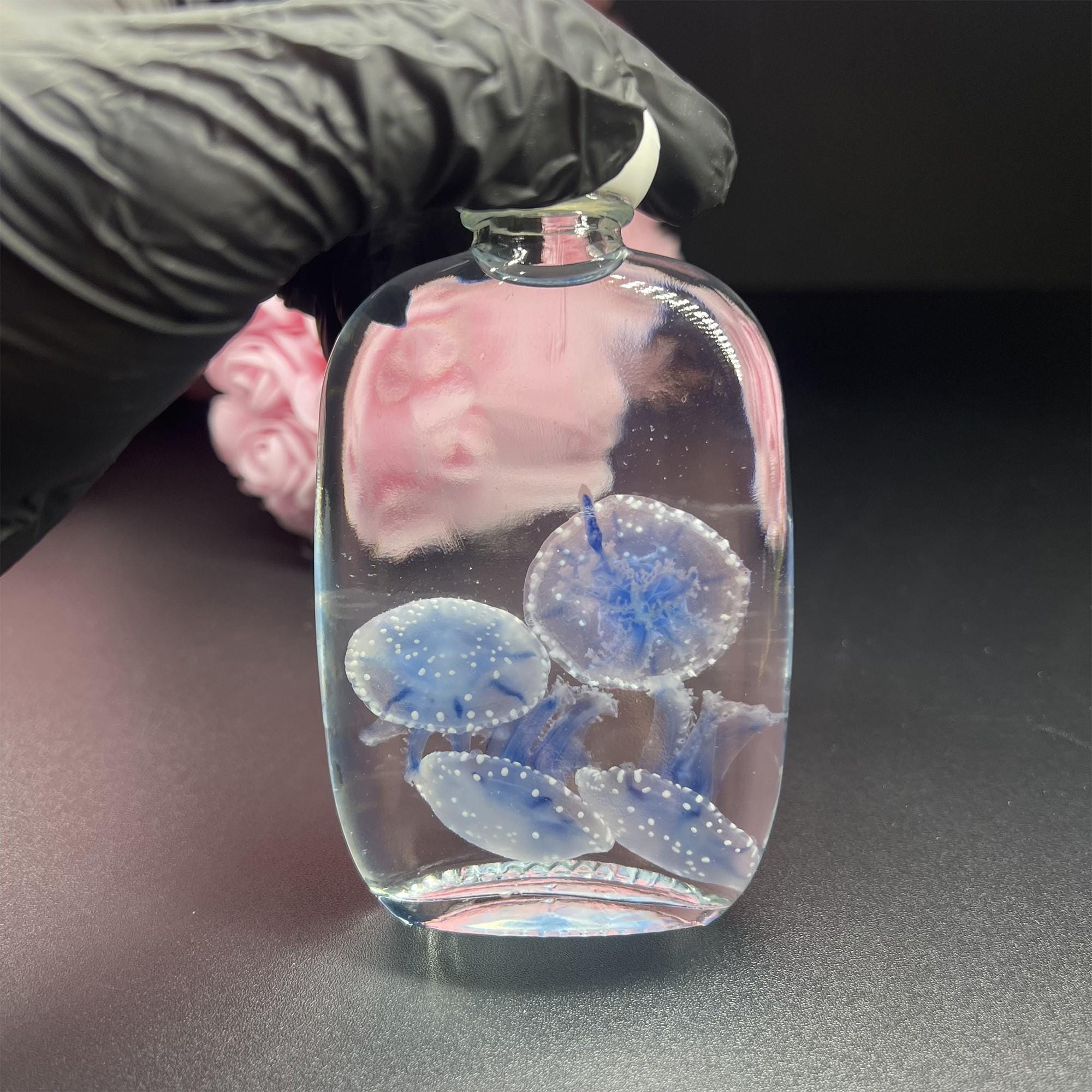 Preserved Papua Jellyfish Wet Specimen Set – Apothecary Bottle