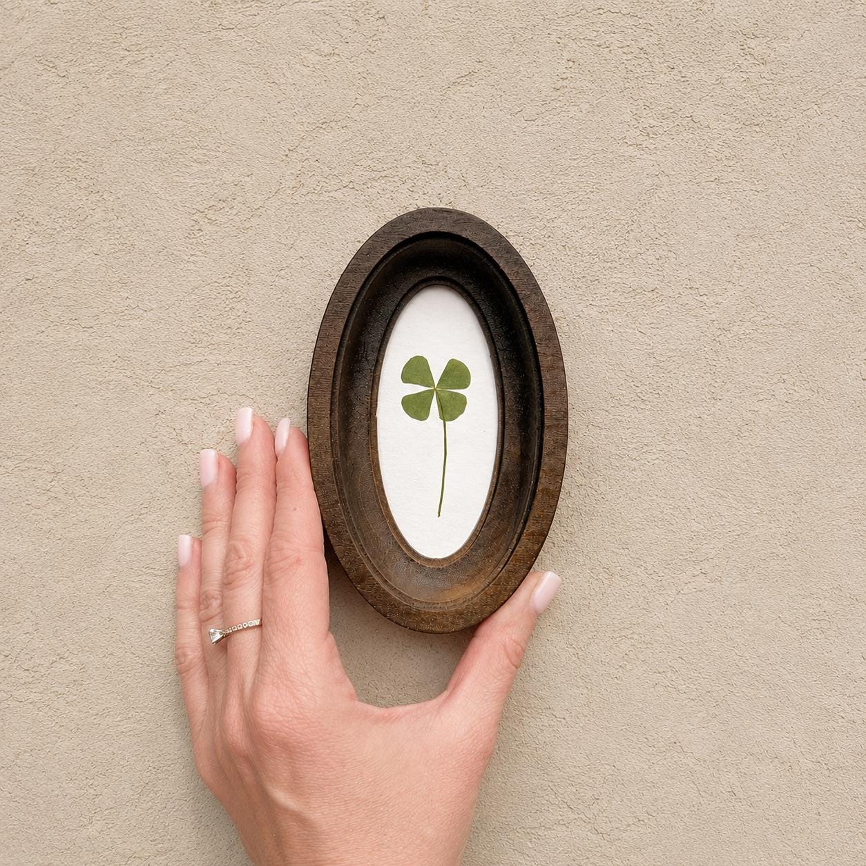 Four-leaf clover in oval frame, pressed clover, botanical decor
