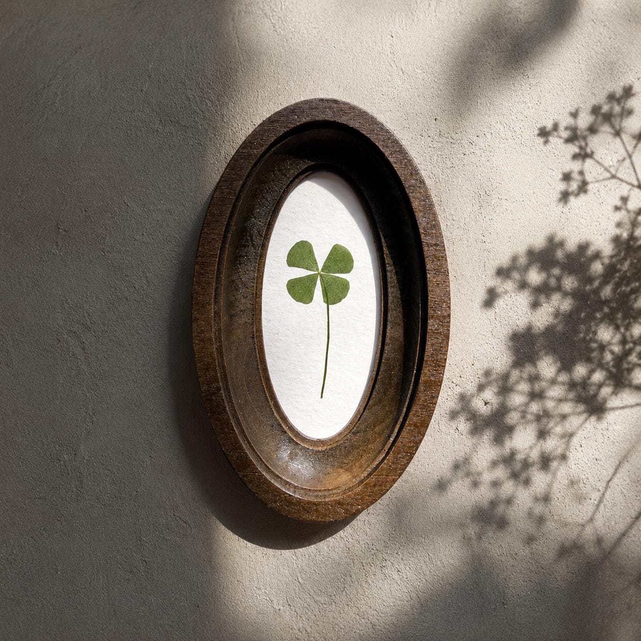 Four-leaf clover in oval frame, pressed clover, botanical decor